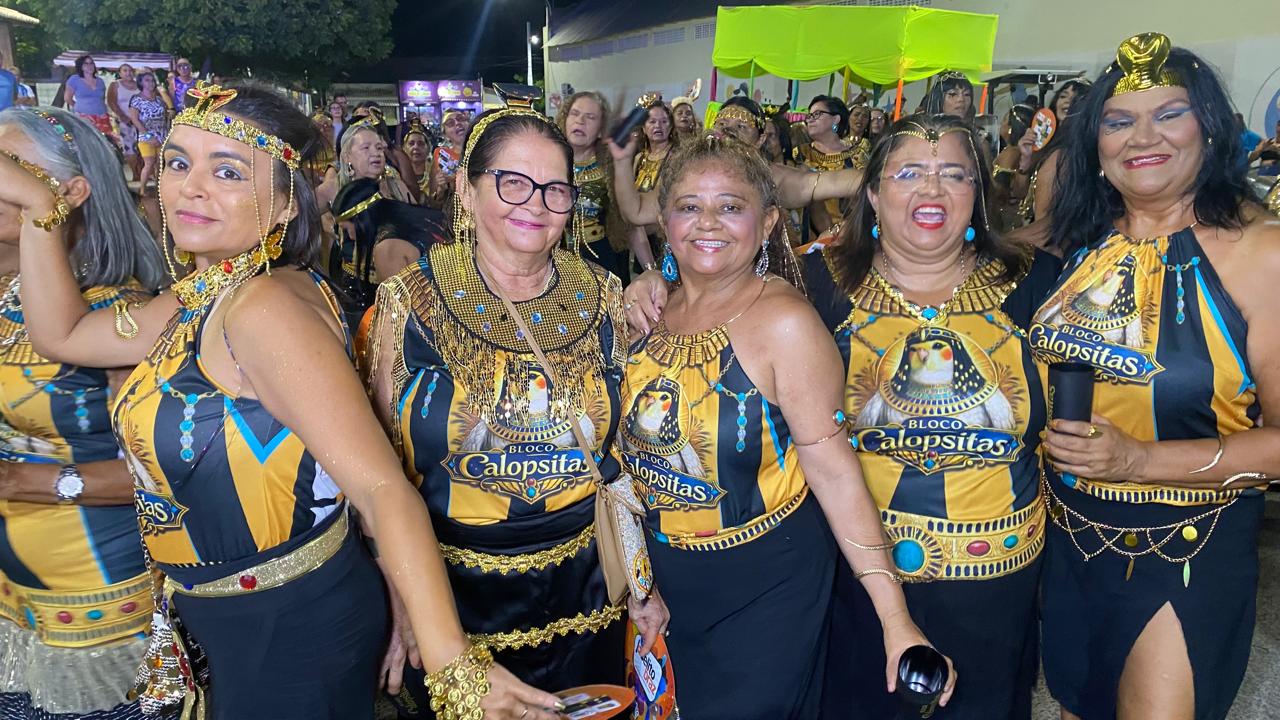 Calopsitas carnaval 2026