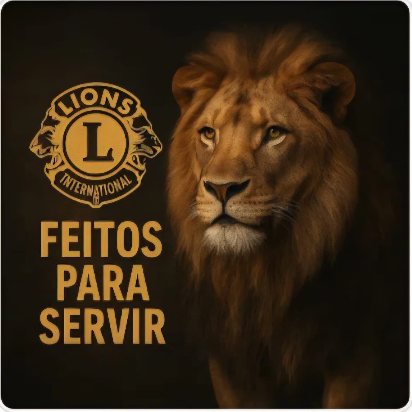 Lions Club de Macau entrega sopão no Bairro dos Navegantes em Macau