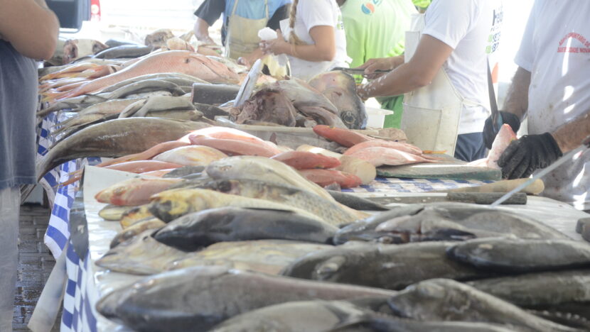Secretaria de Saúde divulga lista de peixes com maior risco de ciguatera no RN