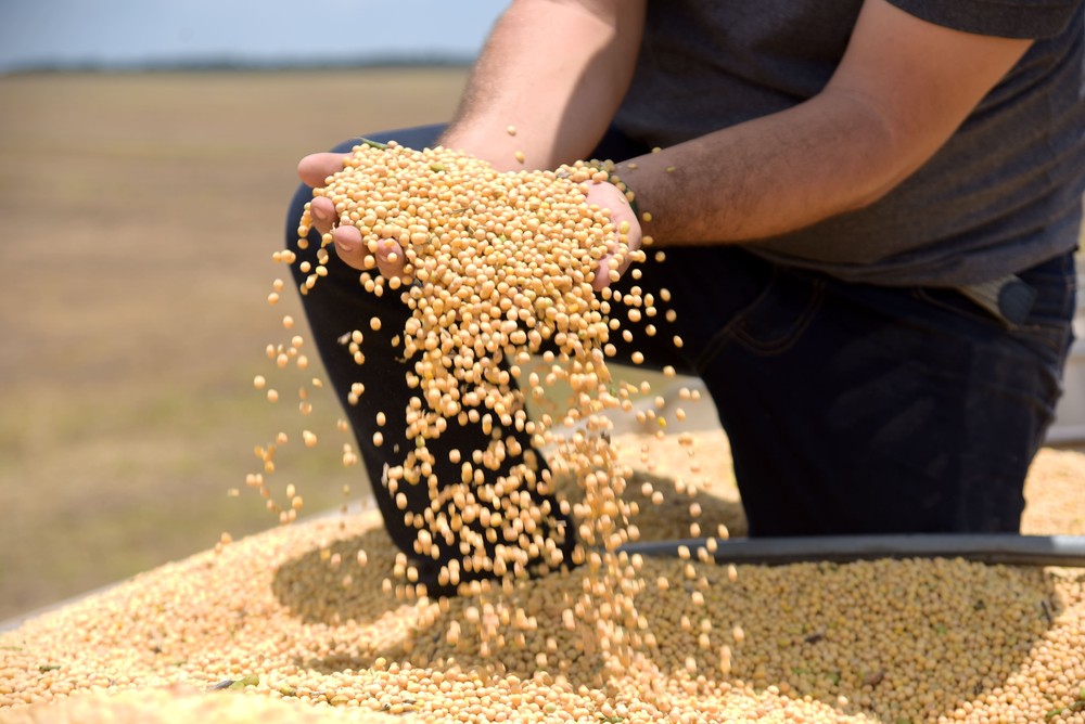 Tarifaço deve atingir 36,5% das exportações do agro para os EUA, diz CNA